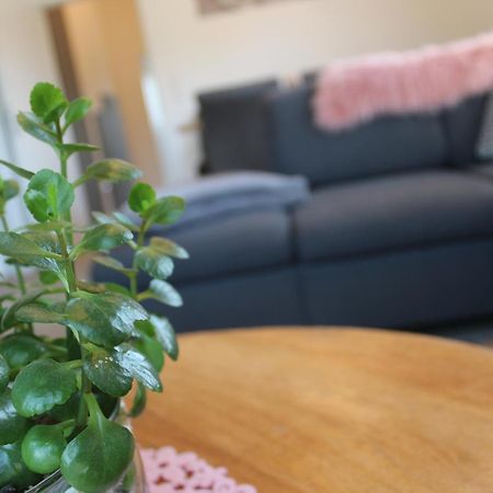 Ferienhaus Seehuis, Sauna, Angeln, Familienfreundlich Twist Eksteriør billede
